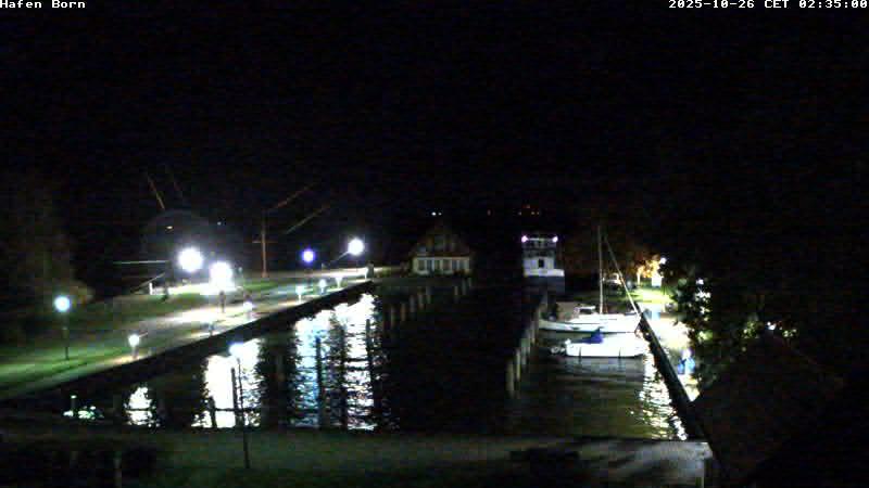 Webcam live