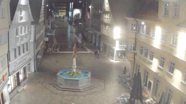 Webcam live