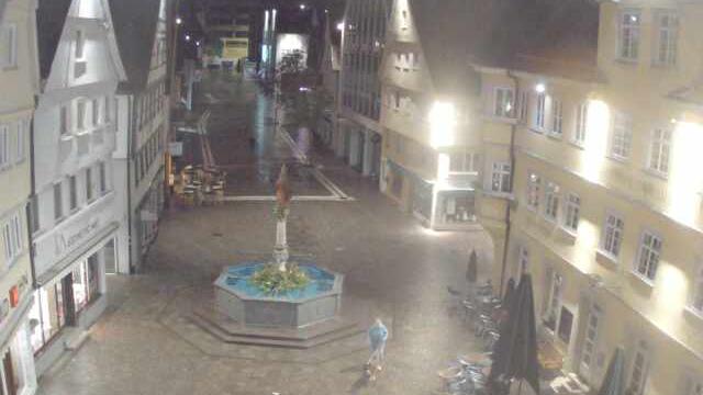 Webcam live