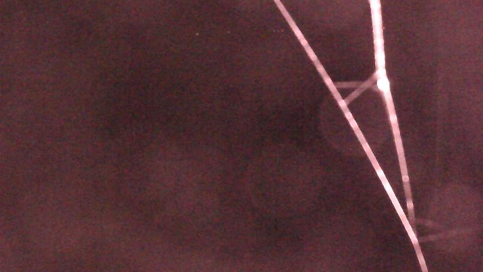 Webcam live