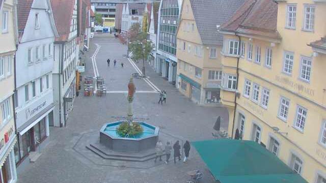 Webcam live