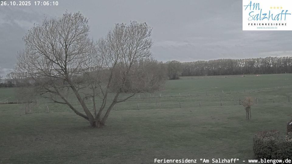 Webcam live