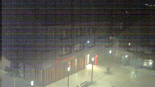 Webcam live