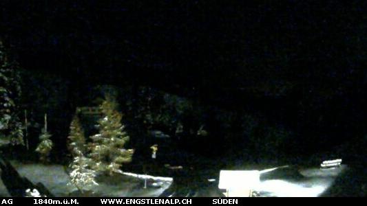 Webcam live