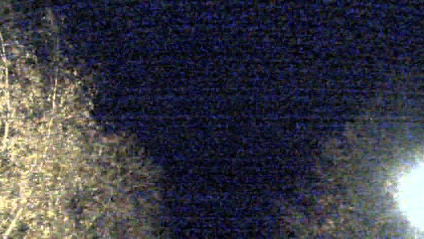 Webcam live