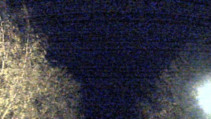 Webcam live