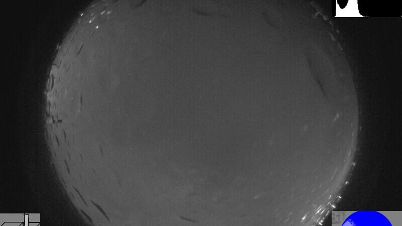 Webcam live