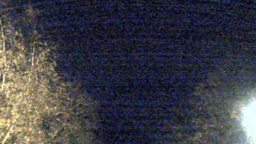 Webcam live