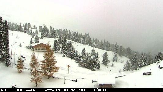 Webcam live