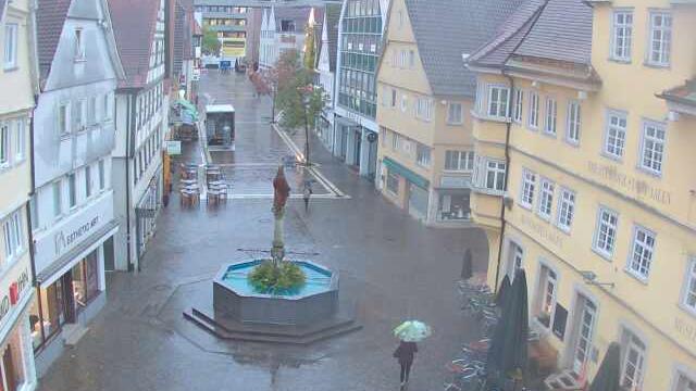Webcam live