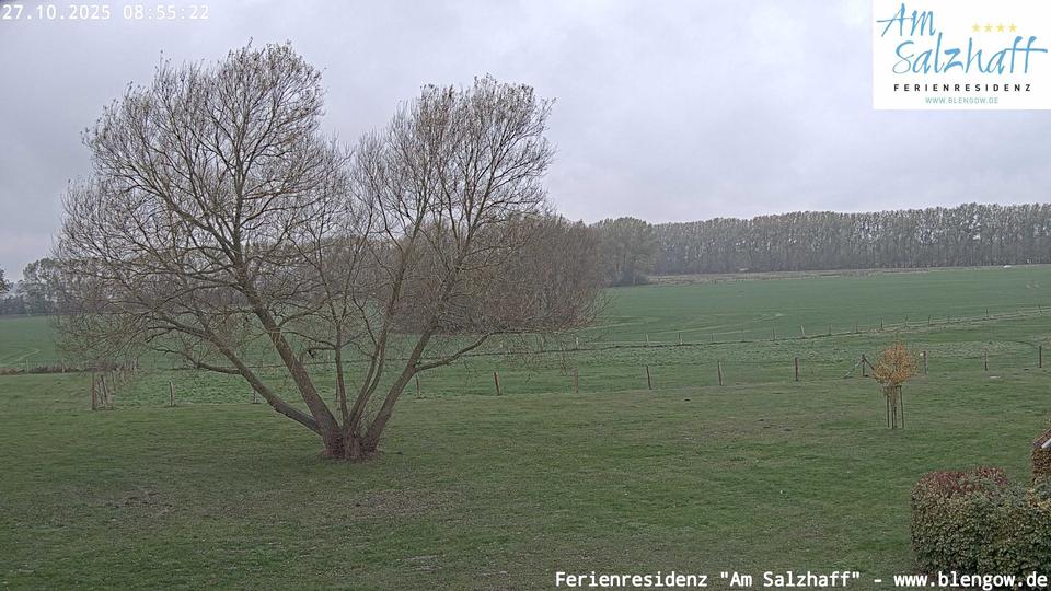 Webcam live