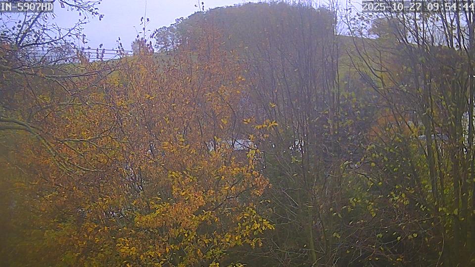 Webcam live