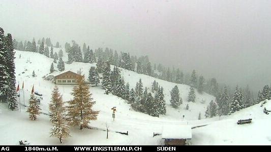 Webcam live