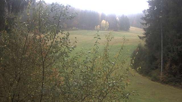 Webcam live