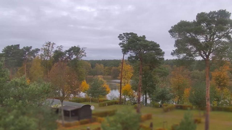 Webcam live