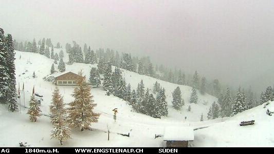 Webcam live