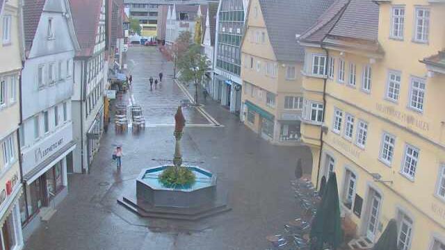 Webcam live