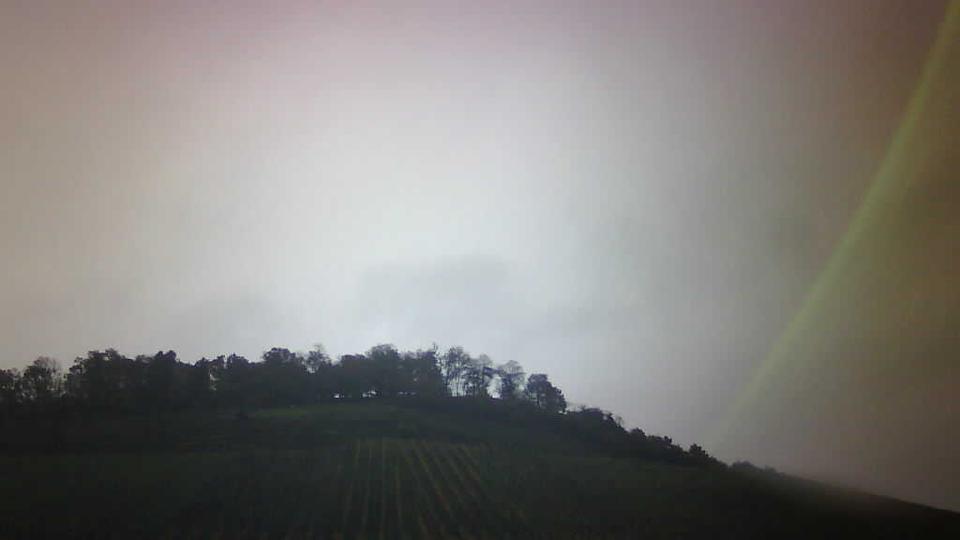 Webcam live