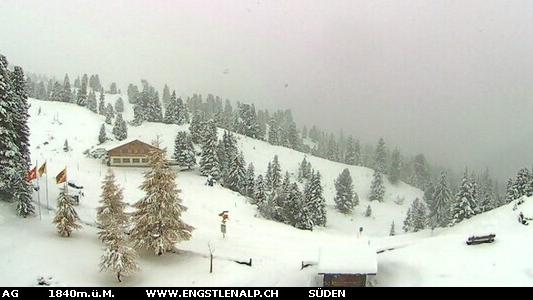 Webcam live
