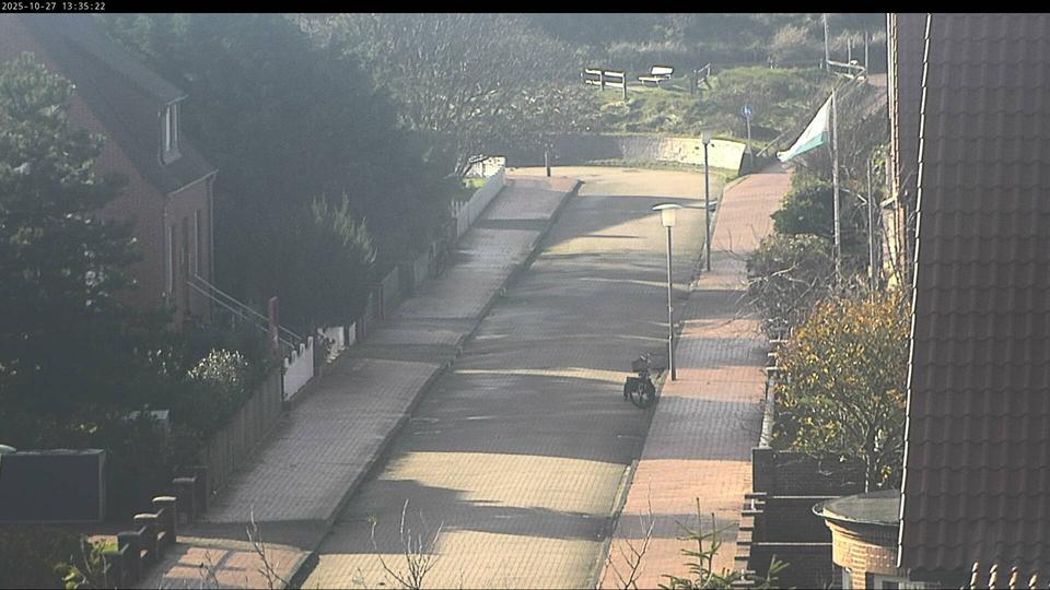 Webcam live