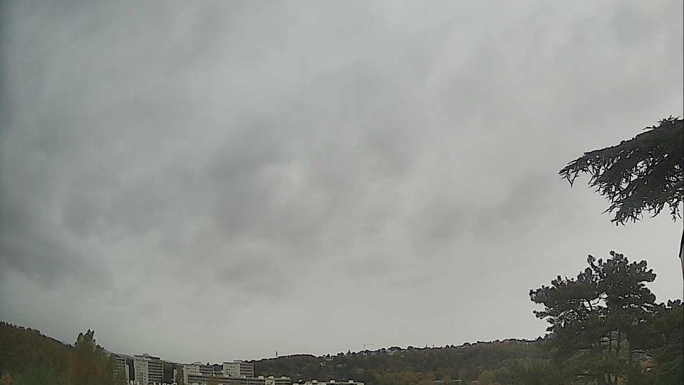 Webcam live