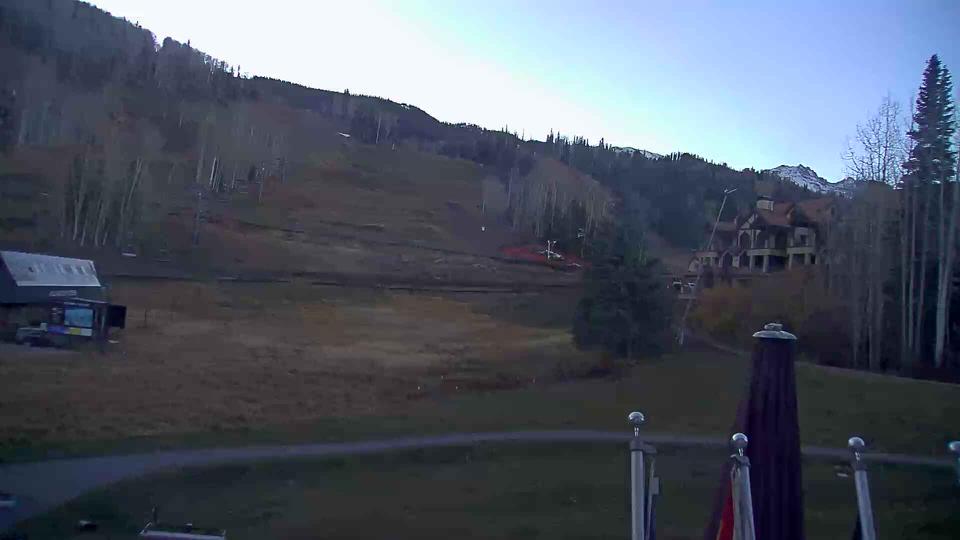 Webcam live