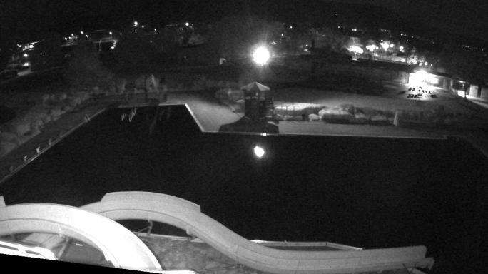 Webcam live