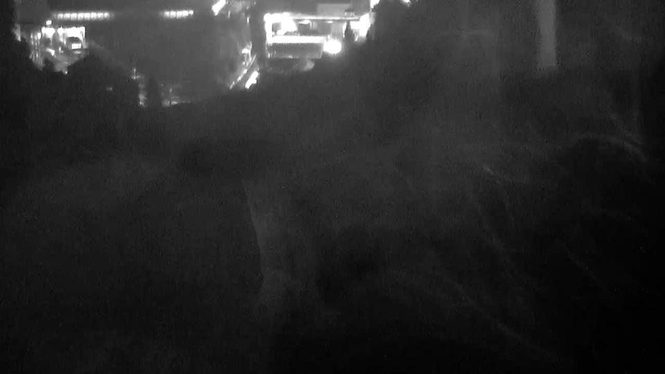 Webcam live