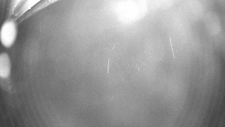 Webcam live