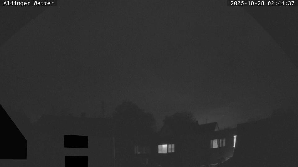 Webcam live