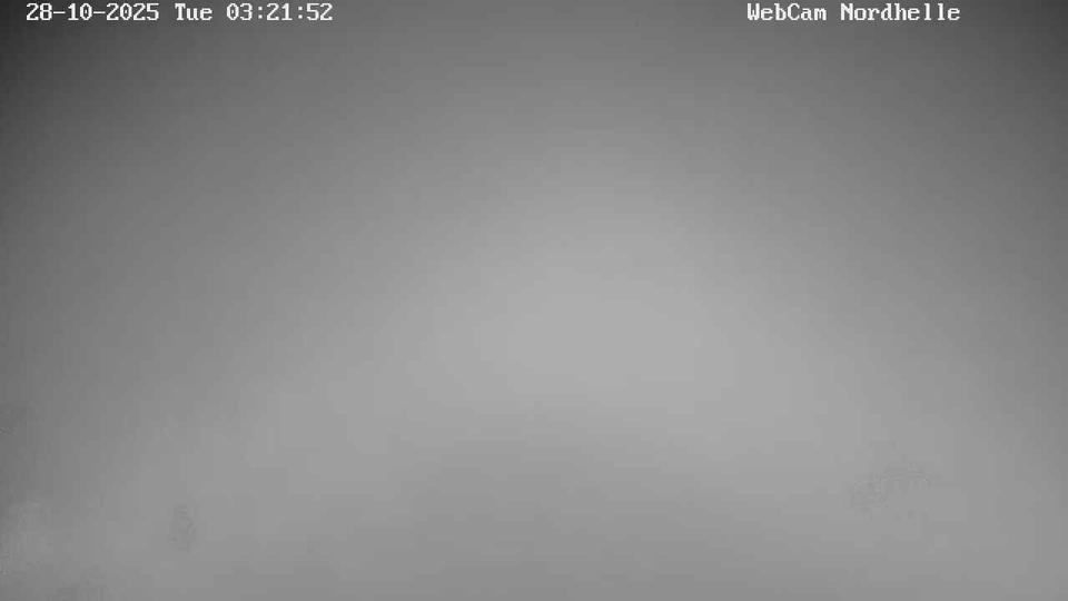 Webcam live