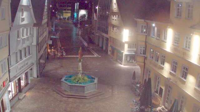 Webcam live
