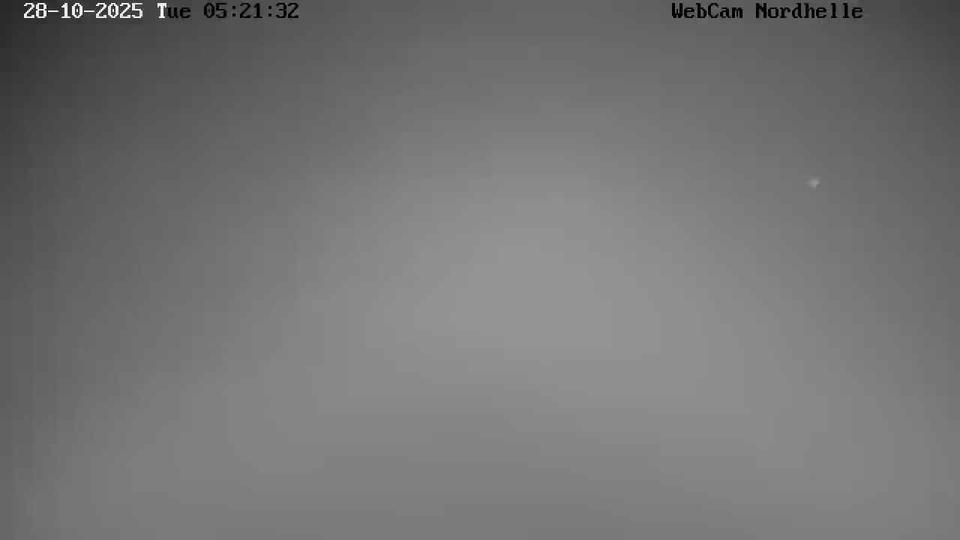 Webcam live