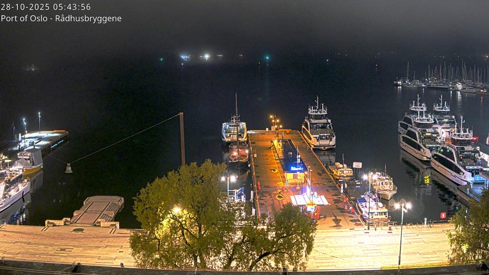 Webcam live