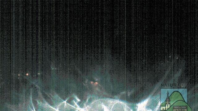 Webcam live
