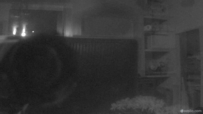 Webcam live