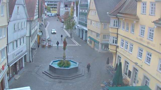 Webcam live