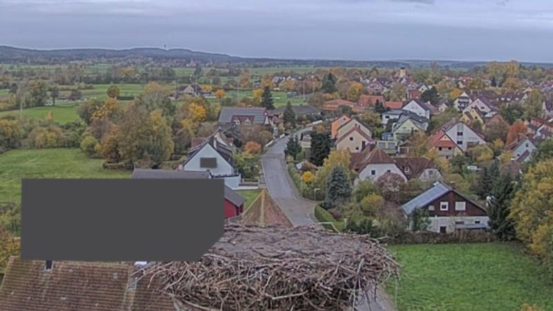 Webcam live