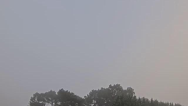 Webcam live