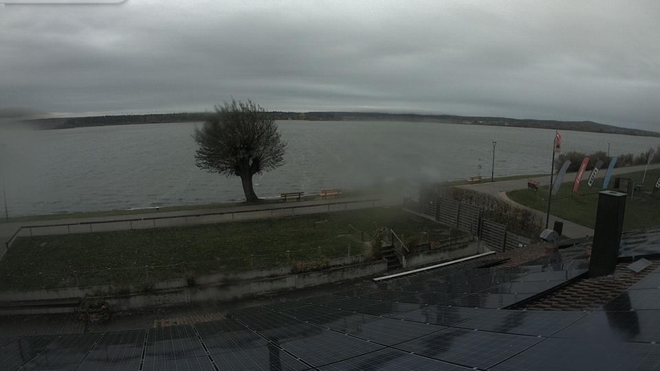 Webcam live