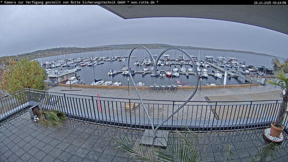 Webcam live