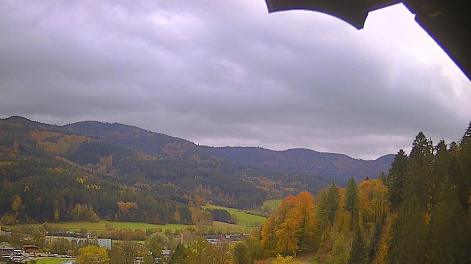 Webcam live