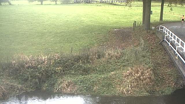 Webcam live
