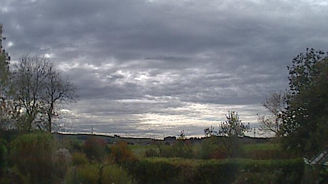 Webcam live