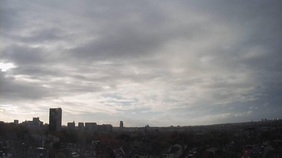 Webcam live