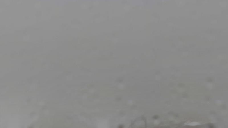 Webcam live