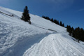 Frühling in den Alpen