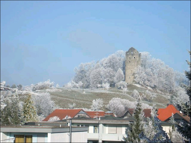 Raureif tauchte die Landschaft in Weiß