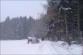 Spaziergang im Schnee