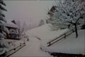 Neuschneebilder aus der Schweiz